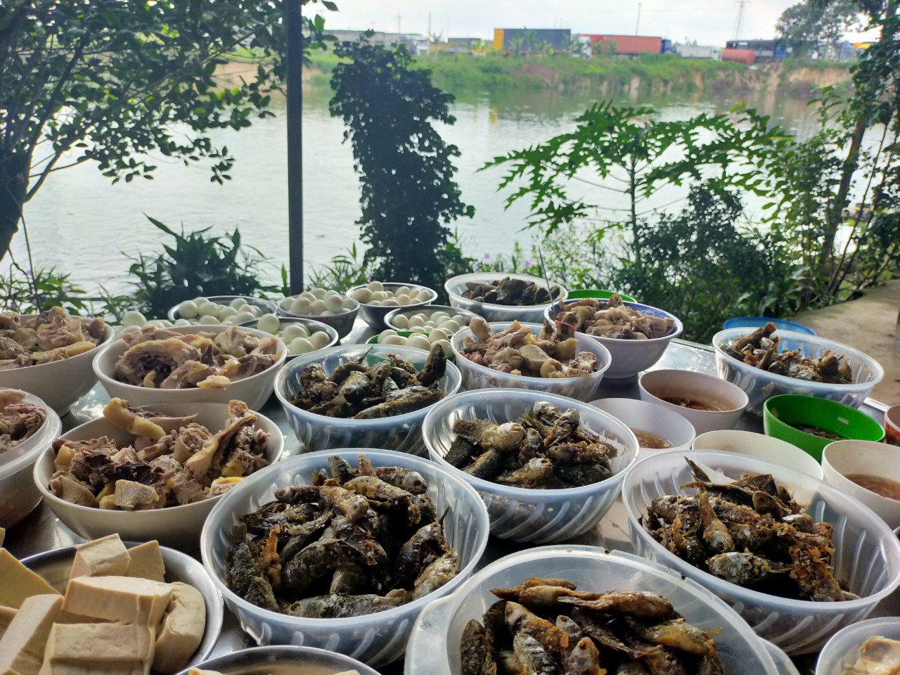 Bữa ăn nhiều đạm