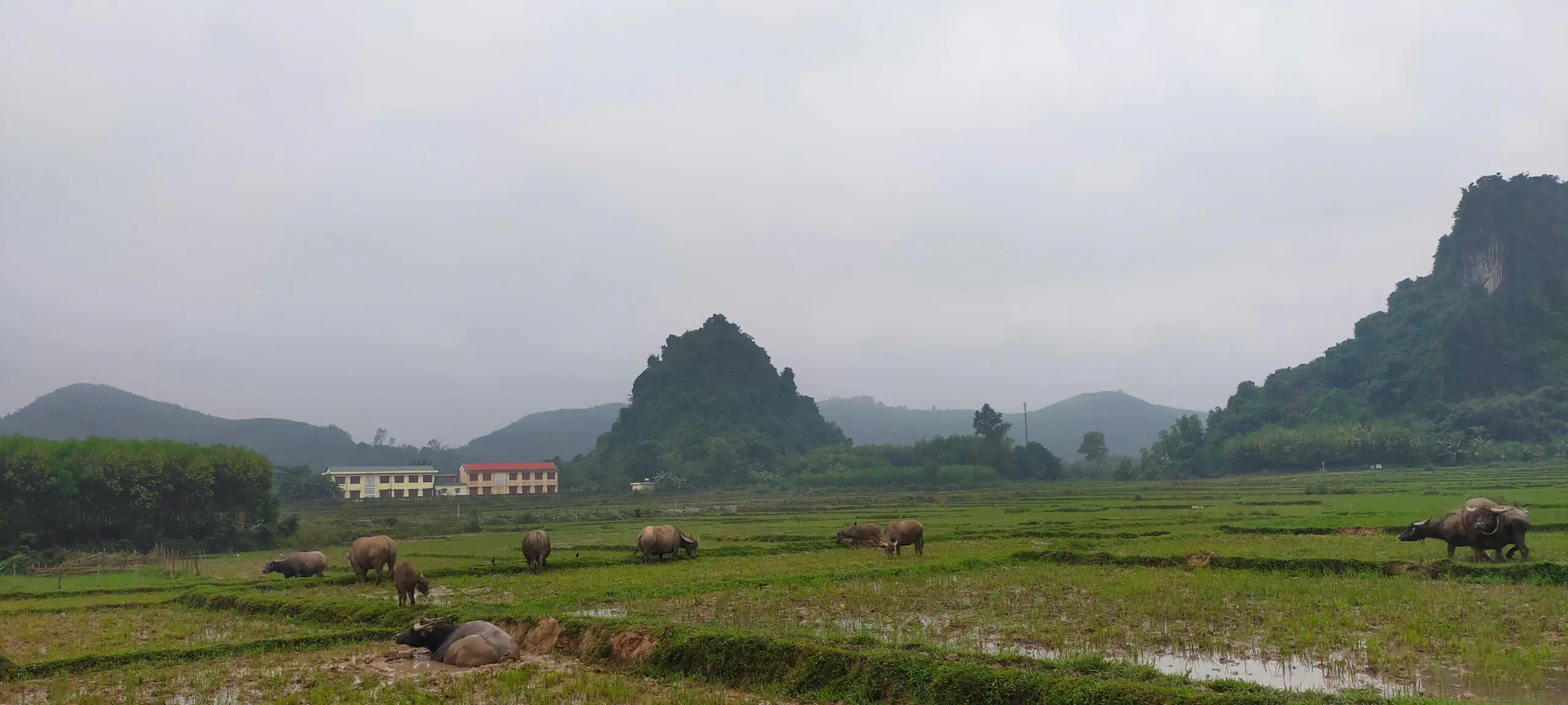 Quảng Bình